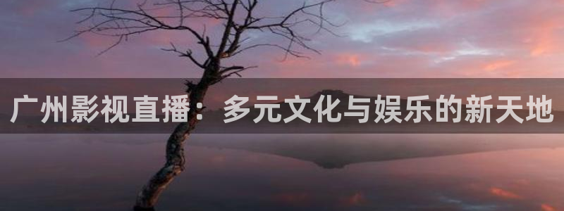 伊人歐美影院：廣州影視直播：多元文化與娛樂的新天地