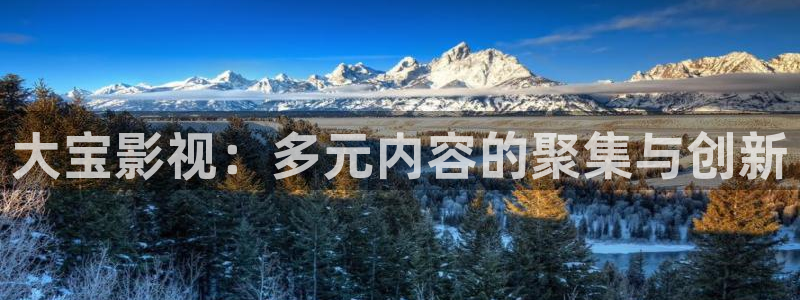 歐美影院在線觀看：大寶影視：多元內(nèi)容的聚集與創(chuàng)新