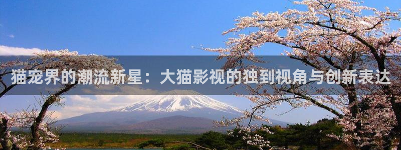柏芝歐美影院：貓寵界的潮流新星：大貓影視的獨(dú)到視角與創(chuàng)新表達(dá)